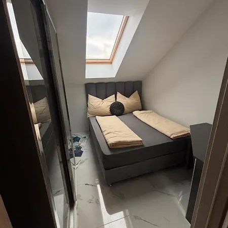 Sc - Contactless Check In *