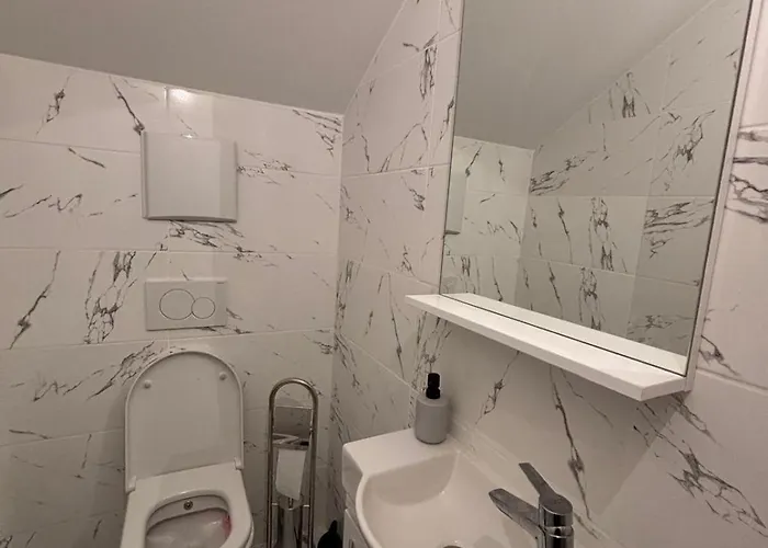 Sc - Contactless Check In Daire Bad Goisern