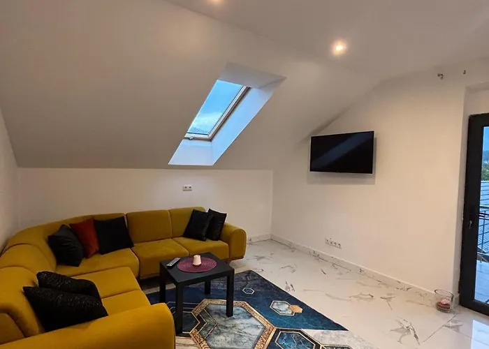 Sc - Contactless Check In *