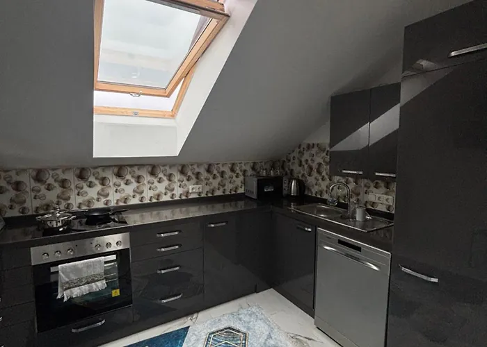 Sc - Contactless Check In Daire Bad Goisern